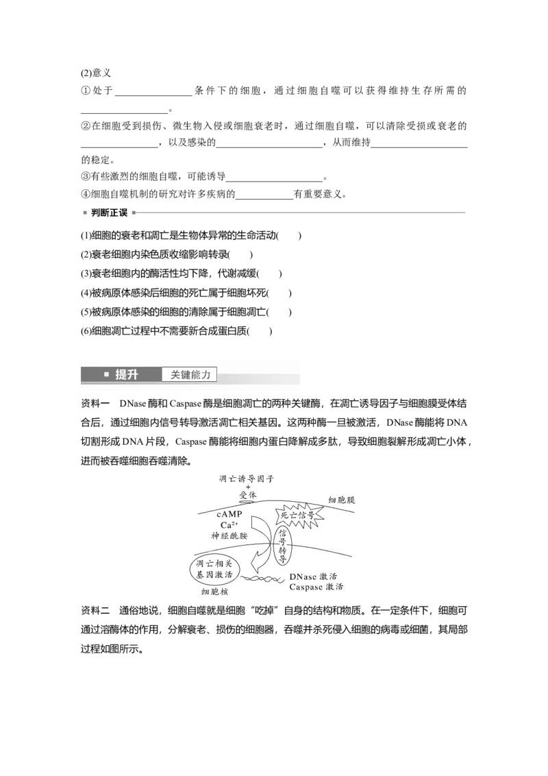 第四单元　第23课时　细胞的分化、衰老和死亡_新高考复习资料_2025年新高考资料_2025新高考一轮复习生物_2025大一轮复习讲义生物人教版学生用书Word版文档整书_2025大一轮复习讲义
