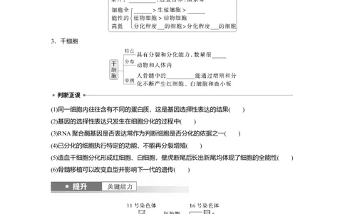 第四单元　第23课时　细胞的分化、衰老和死亡_新高考复习资料_2025年新高考资料_2025新高考一轮复习生物_2025大一轮复习讲义生物人教版学生用书Word版文档整书_2025大一轮复习讲义