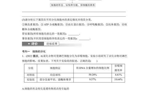 第四单元　第23课时　细胞的分化、衰老和死亡_新高考复习资料_2025年新高考资料_2025新高考一轮复习生物_2025大一轮复习讲义生物人教版学生用书Word版文档整书_2025大一轮复习讲义
