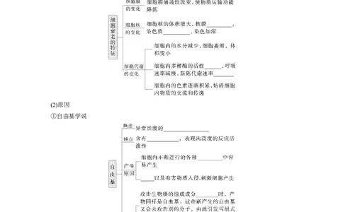 第四单元　第23课时　细胞的分化、衰老和死亡_新高考复习资料_2025年新高考资料_2025新高考一轮复习生物_2025大一轮复习讲义生物人教版学生用书Word版文档整书_2025大一轮复习讲义