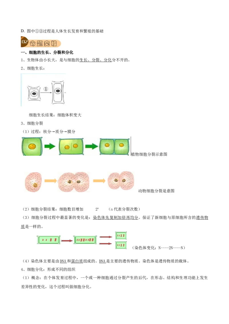 专题02细胞怎样构成生物体（原卷版）_6生物中考复习_2023年中考复习资料_专项复习_2023年中考生物总复习真题探究与变式训练（全国通用）