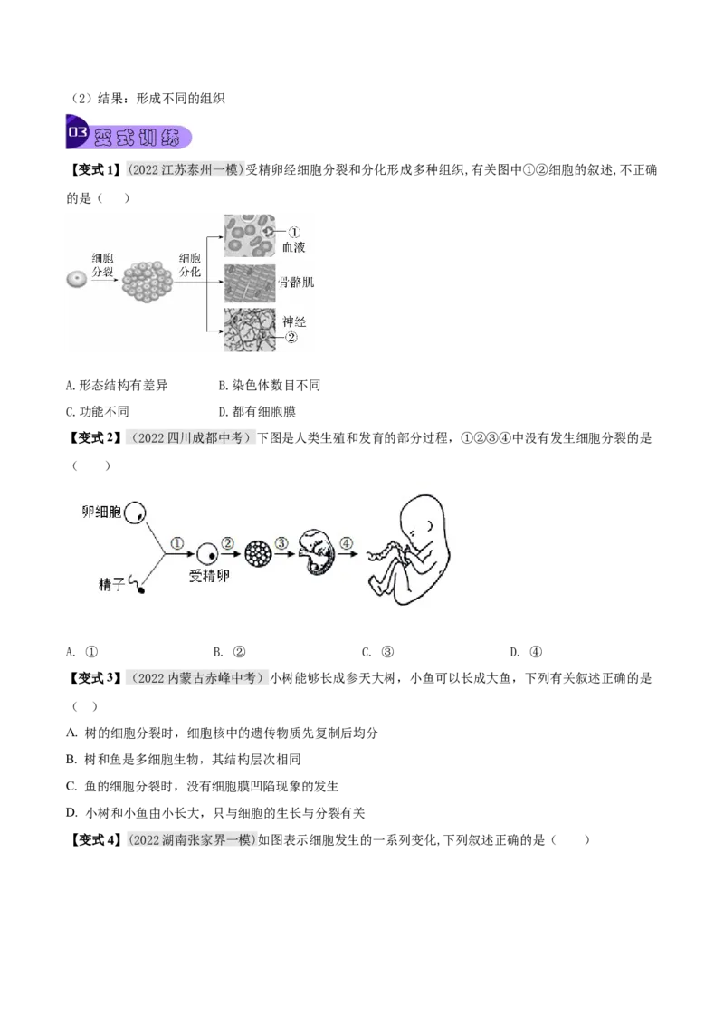 专题02细胞怎样构成生物体（原卷版）_6生物中考复习_2023年中考复习资料_专项复习_2023年中考生物总复习真题探究与变式训练（全国通用）