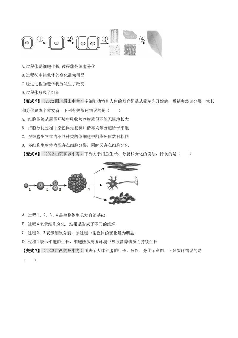 专题02细胞怎样构成生物体（原卷版）_6生物中考复习_2023年中考复习资料_专项复习_2023年中考生物总复习真题探究与变式训练（全国通用）