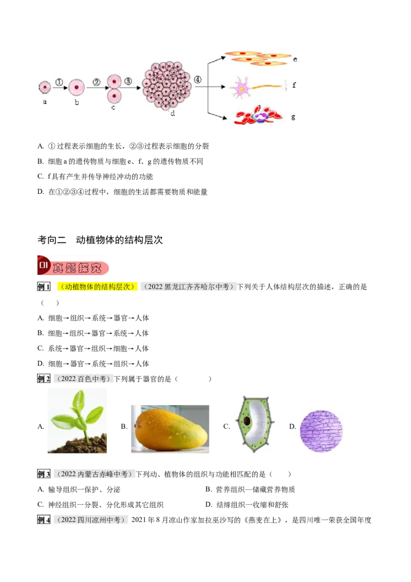 专题02细胞怎样构成生物体（原卷版）_6生物中考复习_2023年中考复习资料_专项复习_2023年中考生物总复习真题探究与变式训练（全国通用）