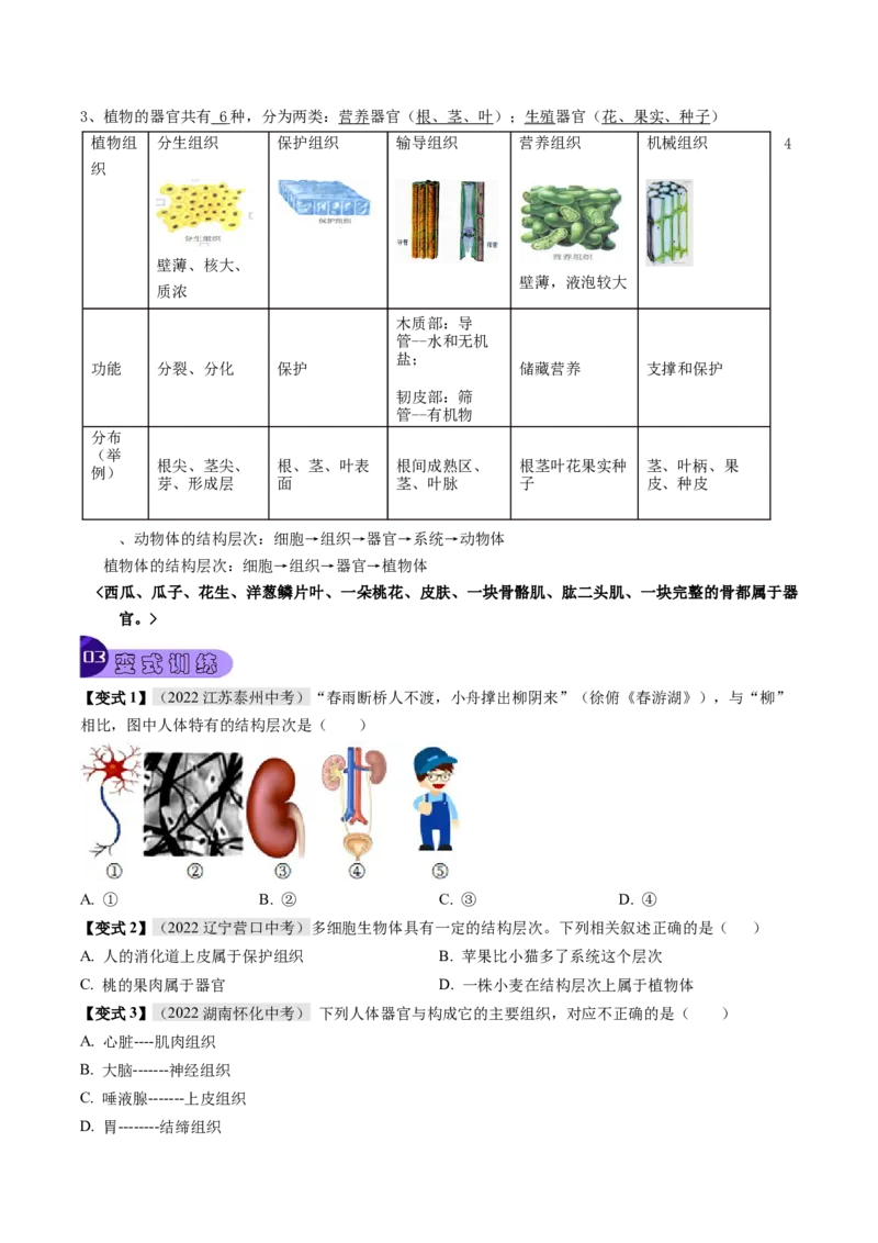 专题02细胞怎样构成生物体（原卷版）_6生物中考复习_2023年中考复习资料_专项复习_2023年中考生物总复习真题探究与变式训练（全国通用）