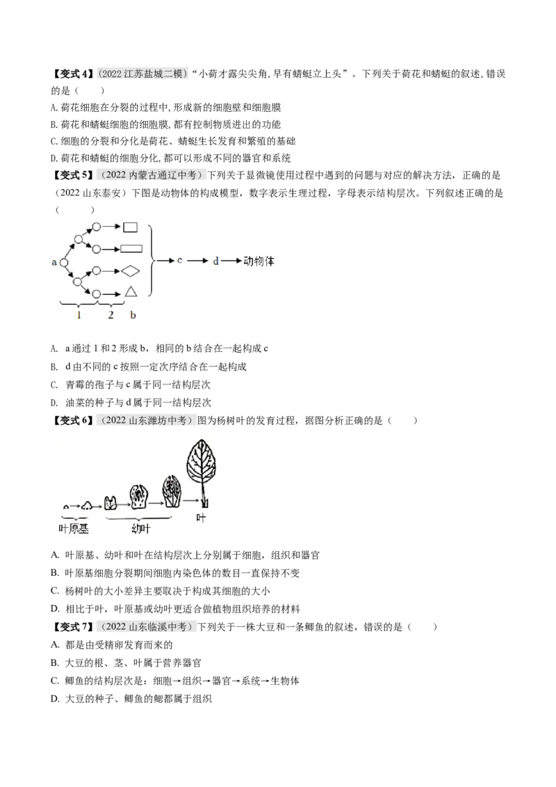 专题02细胞怎样构成生物体（原卷版）_6生物中考复习_2023年中考复习资料_专项复习_2023年中考生物总复习真题探究与变式训练（全国通用）