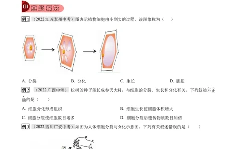 专题02细胞怎样构成生物体（原卷版）_6生物中考复习_2023年中考复习资料_专项复习_2023年中考生物总复习真题探究与变式训练（全国通用）