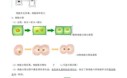 专题02细胞怎样构成生物体（原卷版）_6生物中考复习_2023年中考复习资料_专项复习_2023年中考生物总复习真题探究与变式训练（全国通用）