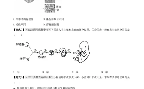 专题02细胞怎样构成生物体（原卷版）_6生物中考复习_2023年中考复习资料_专项复习_2023年中考生物总复习真题探究与变式训练（全国通用）