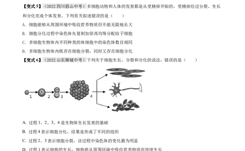 专题02细胞怎样构成生物体（原卷版）_6生物中考复习_2023年中考复习资料_专项复习_2023年中考生物总复习真题探究与变式训练（全国通用）