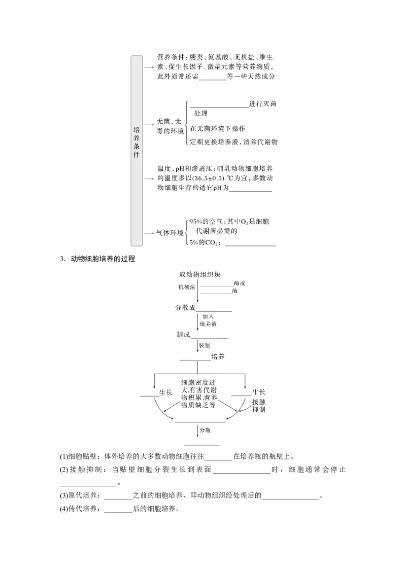 第十单元　第59课时　动物细胞工程_新高考复习资料_2025年新高考资料_2025新高考一轮复习生物_2025大一轮复习讲义生物人教版学生用书Word版文档整书_2025大一轮复习讲义