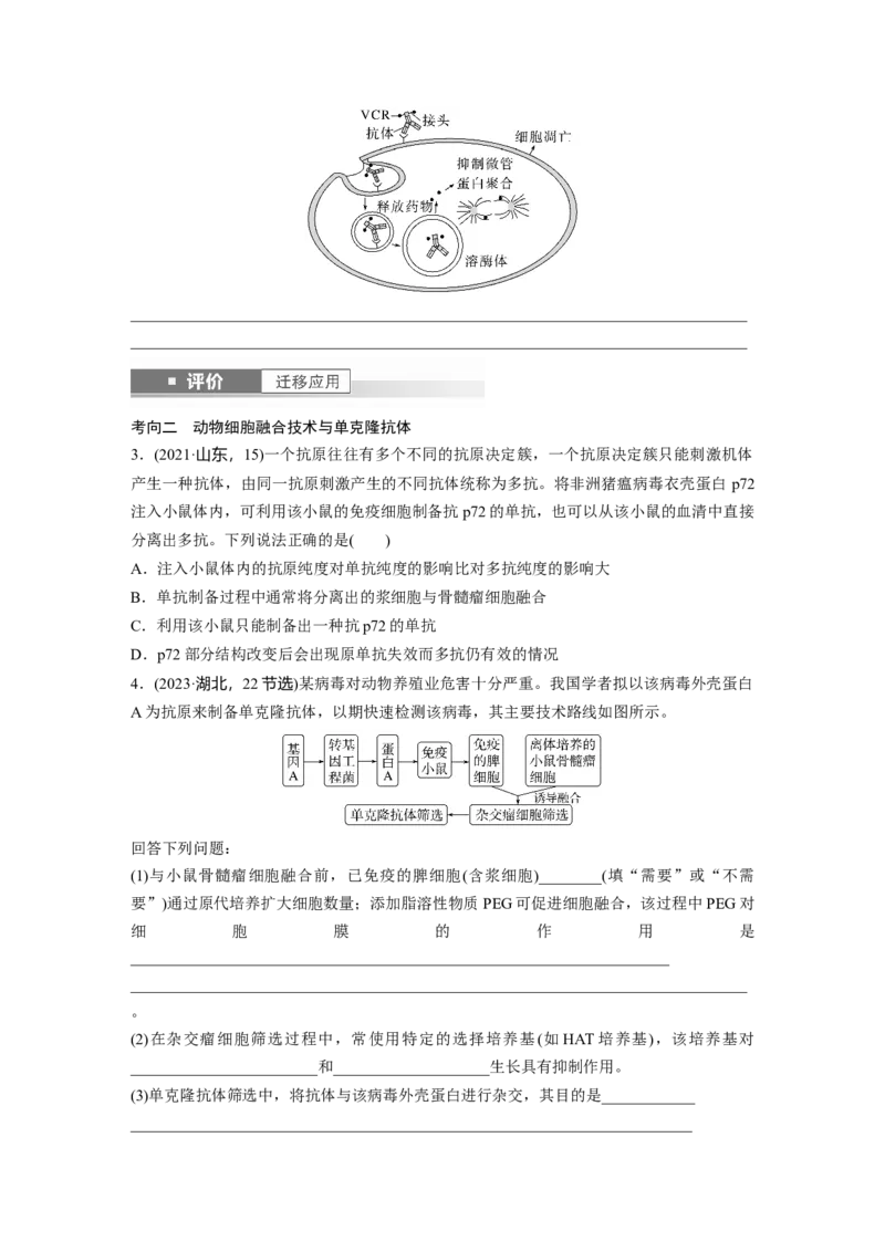 第十单元　第59课时　动物细胞工程_新高考复习资料_2025年新高考资料_2025新高考一轮复习生物_2025大一轮复习讲义生物人教版学生用书Word版文档整书_2025大一轮复习讲义