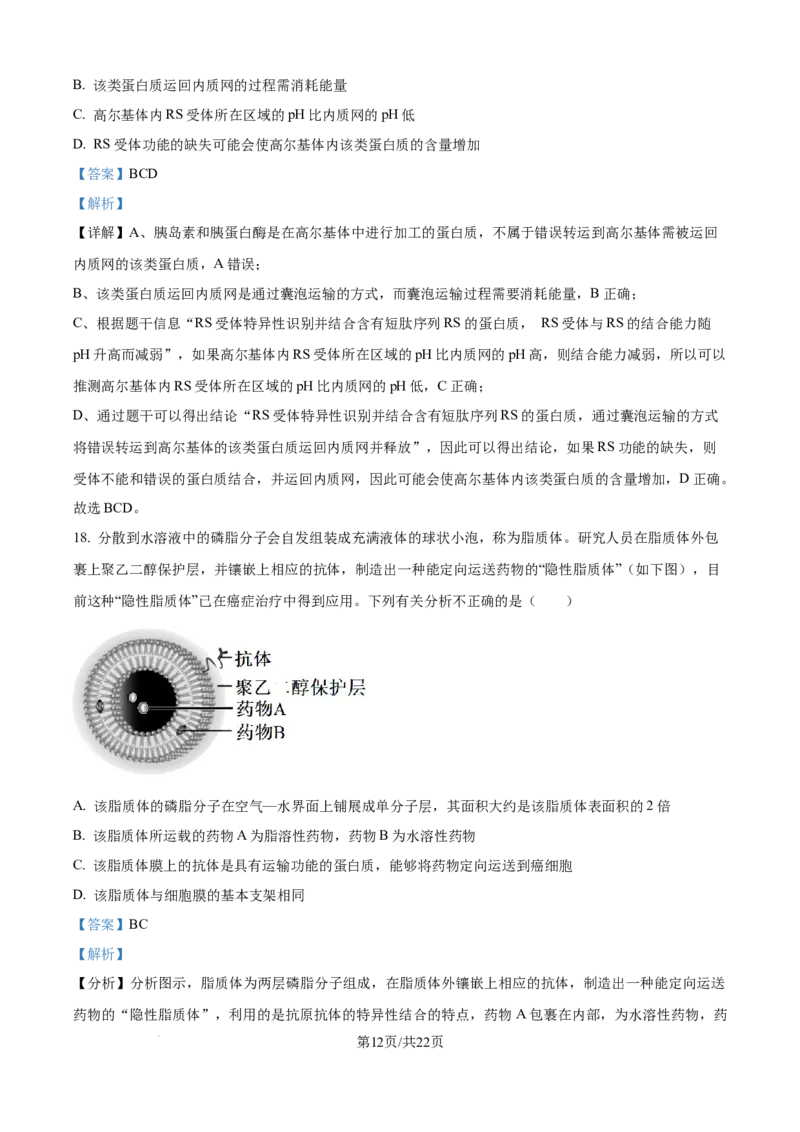 精品解析：山东省聊城市2025-2026学年高一上学期11月期中生物试题（解析版）_2025年12月高一试卷_251211山东省聊城市2025-2026学年高一上学期11月期中（全）