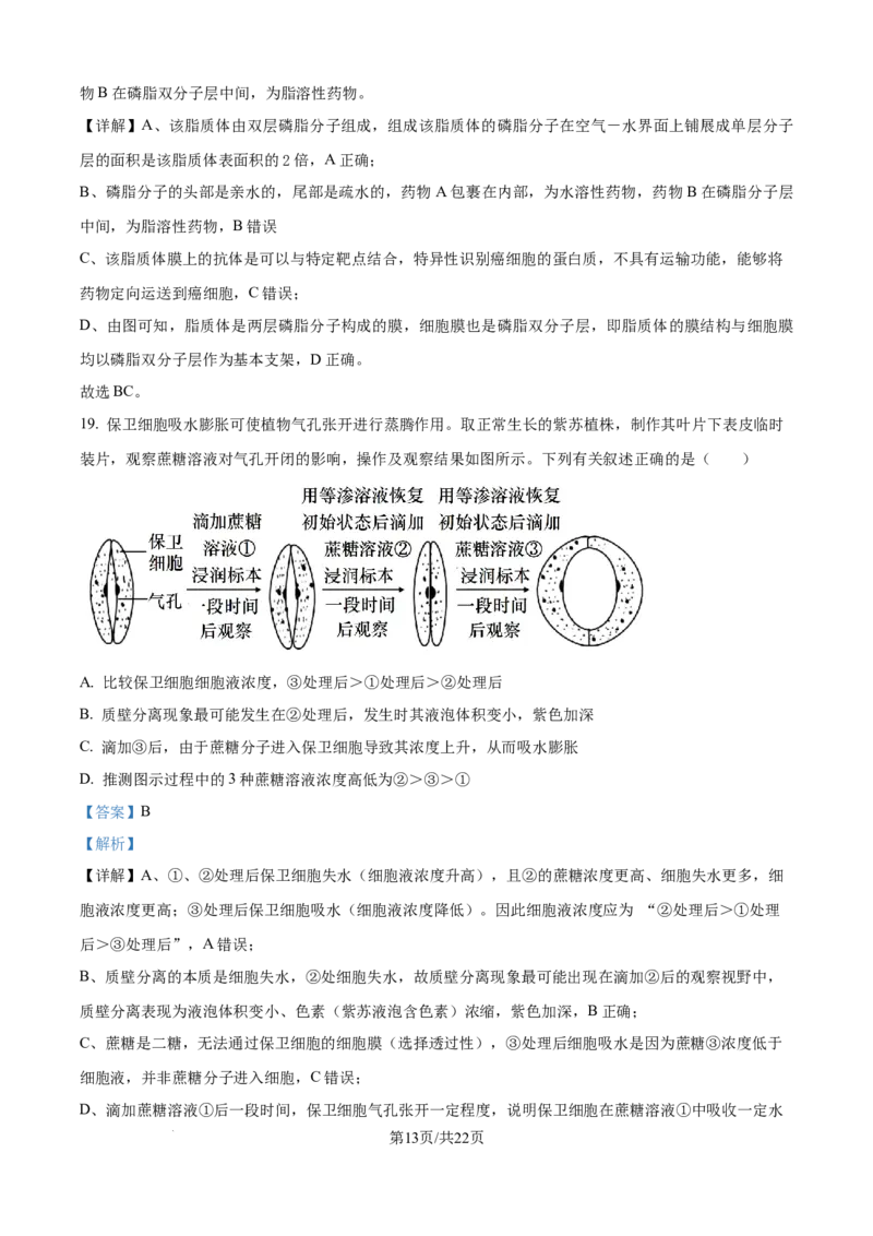 精品解析：山东省聊城市2025-2026学年高一上学期11月期中生物试题（解析版）_2025年12月高一试卷_251211山东省聊城市2025-2026学年高一上学期11月期中（全）
