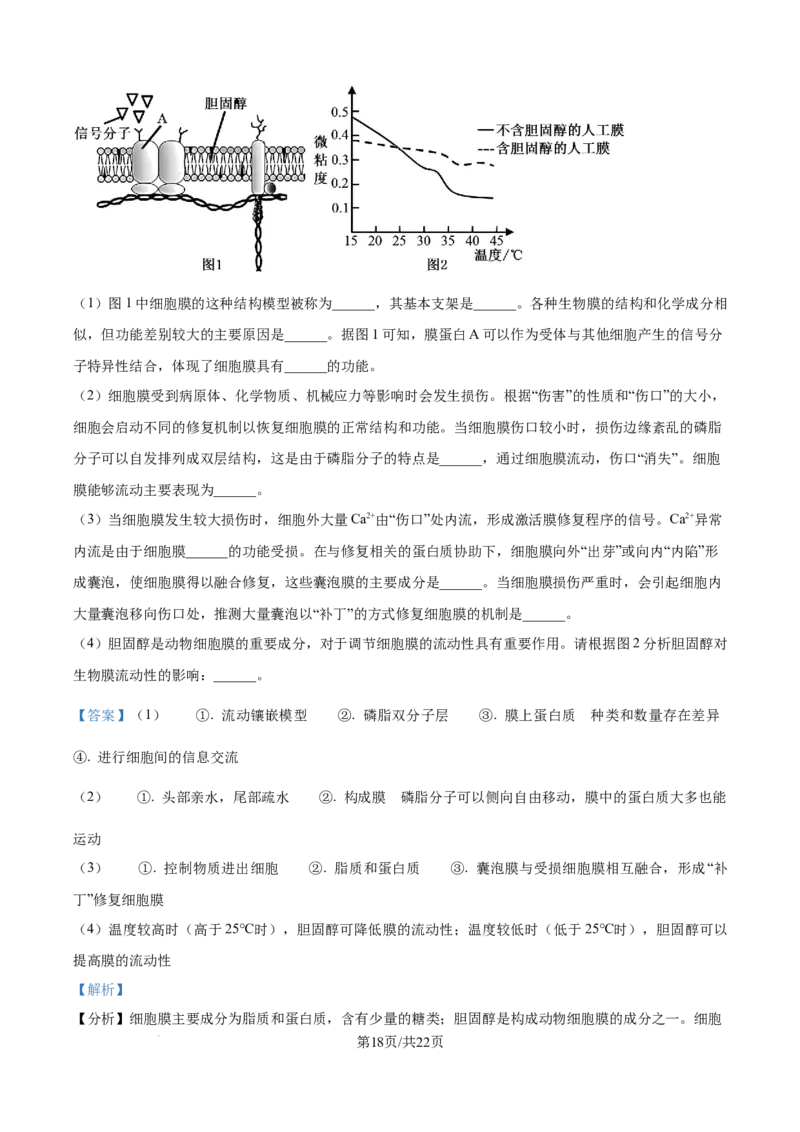 精品解析：山东省聊城市2025-2026学年高一上学期11月期中生物试题（解析版）_2025年12月高一试卷_251211山东省聊城市2025-2026学年高一上学期11月期中（全）