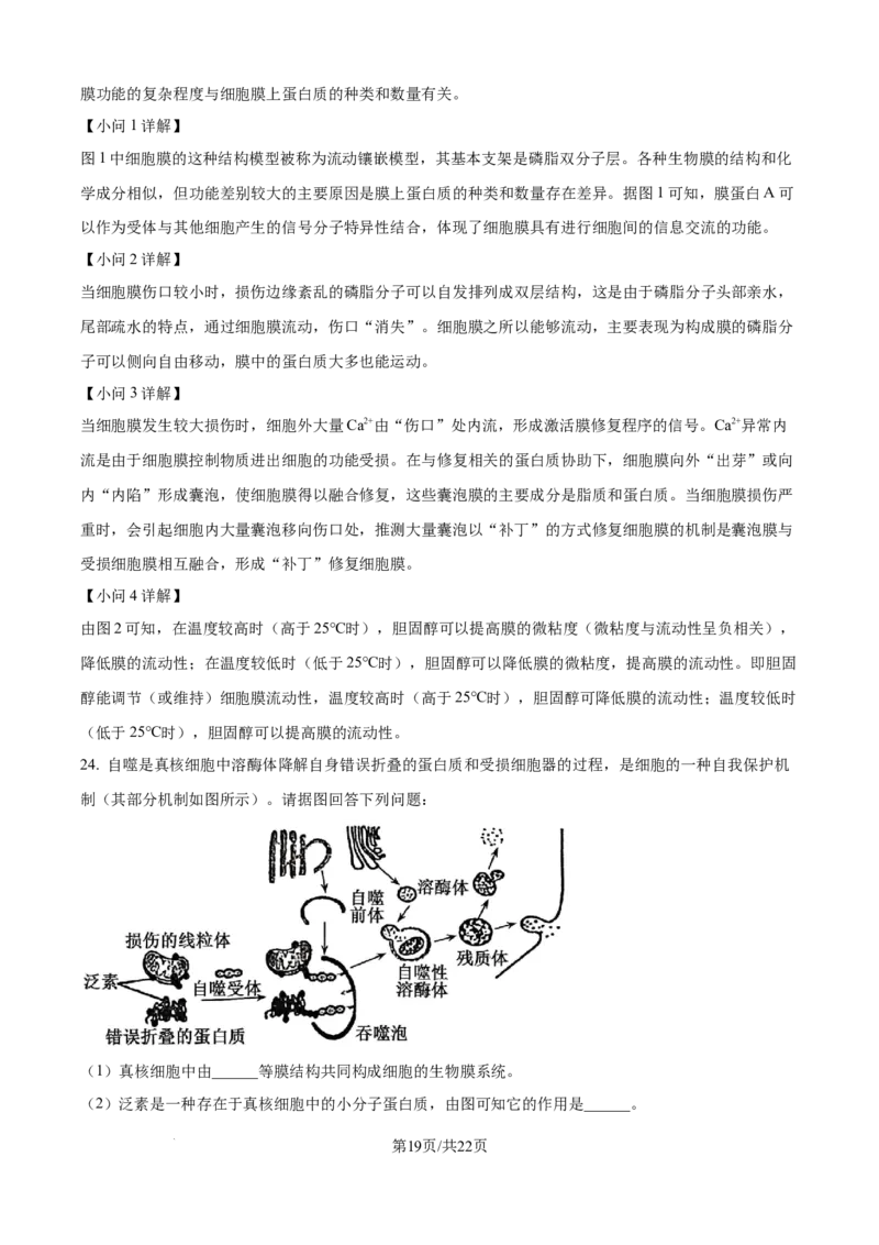精品解析：山东省聊城市2025-2026学年高一上学期11月期中生物试题（解析版）_2025年12月高一试卷_251211山东省聊城市2025-2026学年高一上学期11月期中（全）
