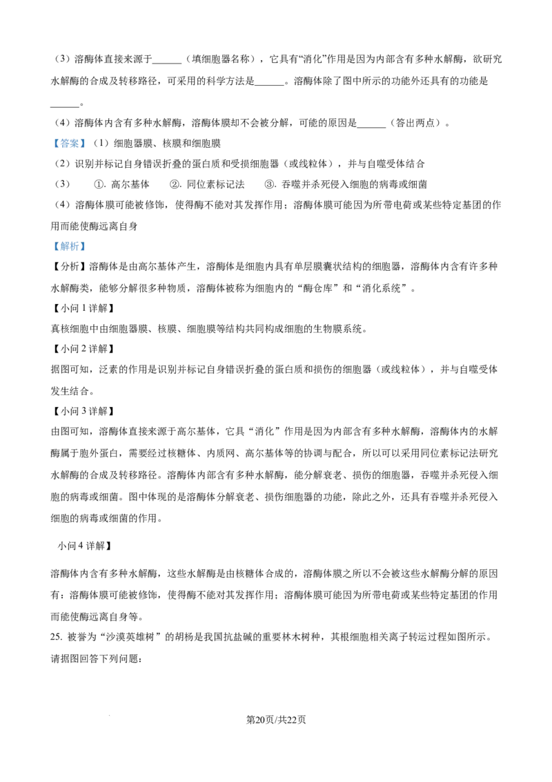 精品解析：山东省聊城市2025-2026学年高一上学期11月期中生物试题（解析版）_2025年12月高一试卷_251211山东省聊城市2025-2026学年高一上学期11月期中（全）