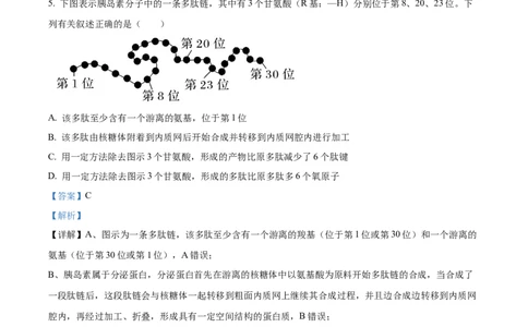 精品解析：山东省聊城市2025-2026学年高一上学期11月期中生物试题（解析版）_2025年12月高一试卷_251211山东省聊城市2025-2026学年高一上学期11月期中（全）