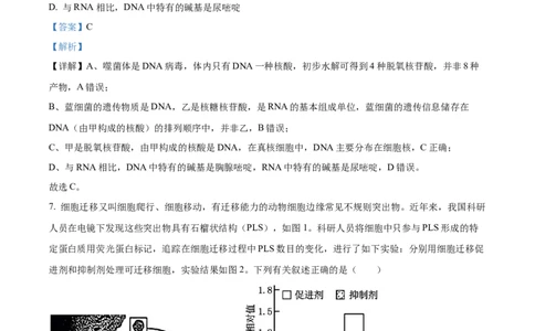 精品解析：山东省聊城市2025-2026学年高一上学期11月期中生物试题（解析版）_2025年12月高一试卷_251211山东省聊城市2025-2026学年高一上学期11月期中（全）