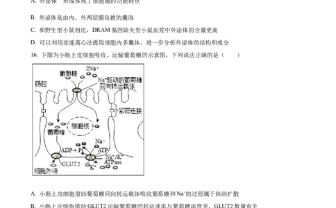 精品解析：2024届四川省成都市七中高三零诊模拟考试生物试题（原卷版）_生物高考模拟题_老高考_2024年_精品解析：2024届四川省成都市七中高三零诊模拟考试生物试题