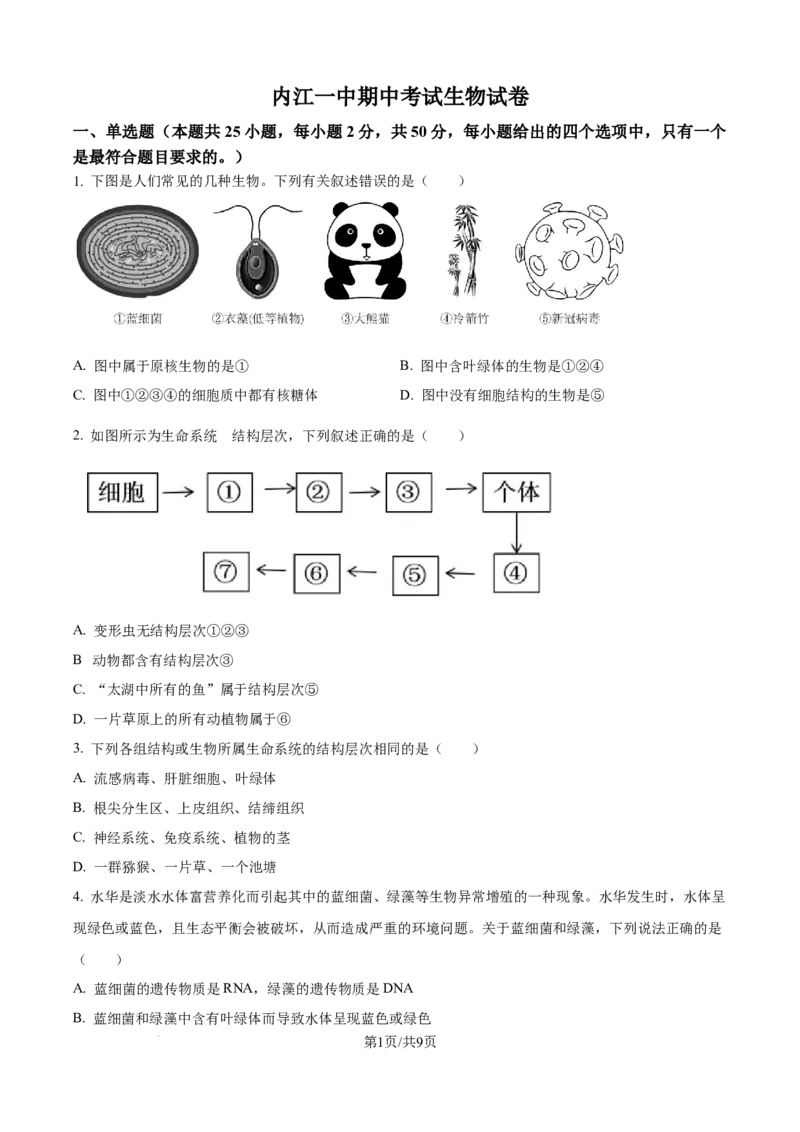 精品解析：四川省内江市第一中学2025-2026学年高一上学期期中考试生物试题（原卷版）_2025年12月高一试卷_251203四川省内江市第一中学2025-2026学年高一上学期期中考试