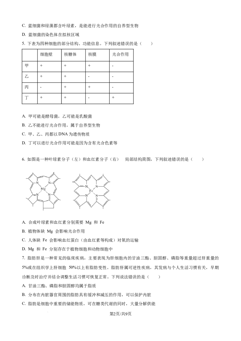 精品解析：四川省内江市第一中学2025-2026学年高一上学期期中考试生物试题（原卷版）_2025年12月高一试卷_251203四川省内江市第一中学2025-2026学年高一上学期期中考试
