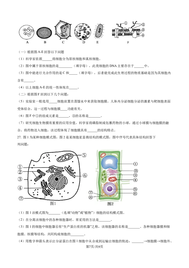 精品解析：四川省内江市第一中学2025-2026学年高一上学期期中考试生物试题（原卷版）_2025年12月高一试卷_251203四川省内江市第一中学2025-2026学年高一上学期期中考试
