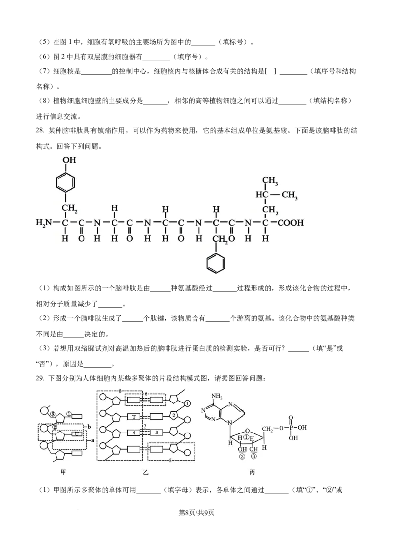 精品解析：四川省内江市第一中学2025-2026学年高一上学期期中考试生物试题（原卷版）_2025年12月高一试卷_251203四川省内江市第一中学2025-2026学年高一上学期期中考试