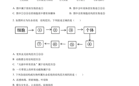 精品解析：四川省内江市第一中学2025-2026学年高一上学期期中考试生物试题（原卷版）_2025年12月高一试卷_251203四川省内江市第一中学2025-2026学年高一上学期期中考试