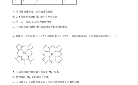 精品解析：四川省内江市第一中学2025-2026学年高一上学期期中考试生物试题（原卷版）_2025年12月高一试卷_251203四川省内江市第一中学2025-2026学年高一上学期期中考试