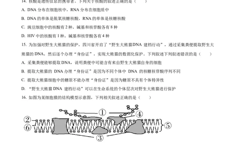 精品解析：四川省内江市第一中学2025-2026学年高一上学期期中考试生物试题（原卷版）_2025年12月高一试卷_251203四川省内江市第一中学2025-2026学年高一上学期期中考试