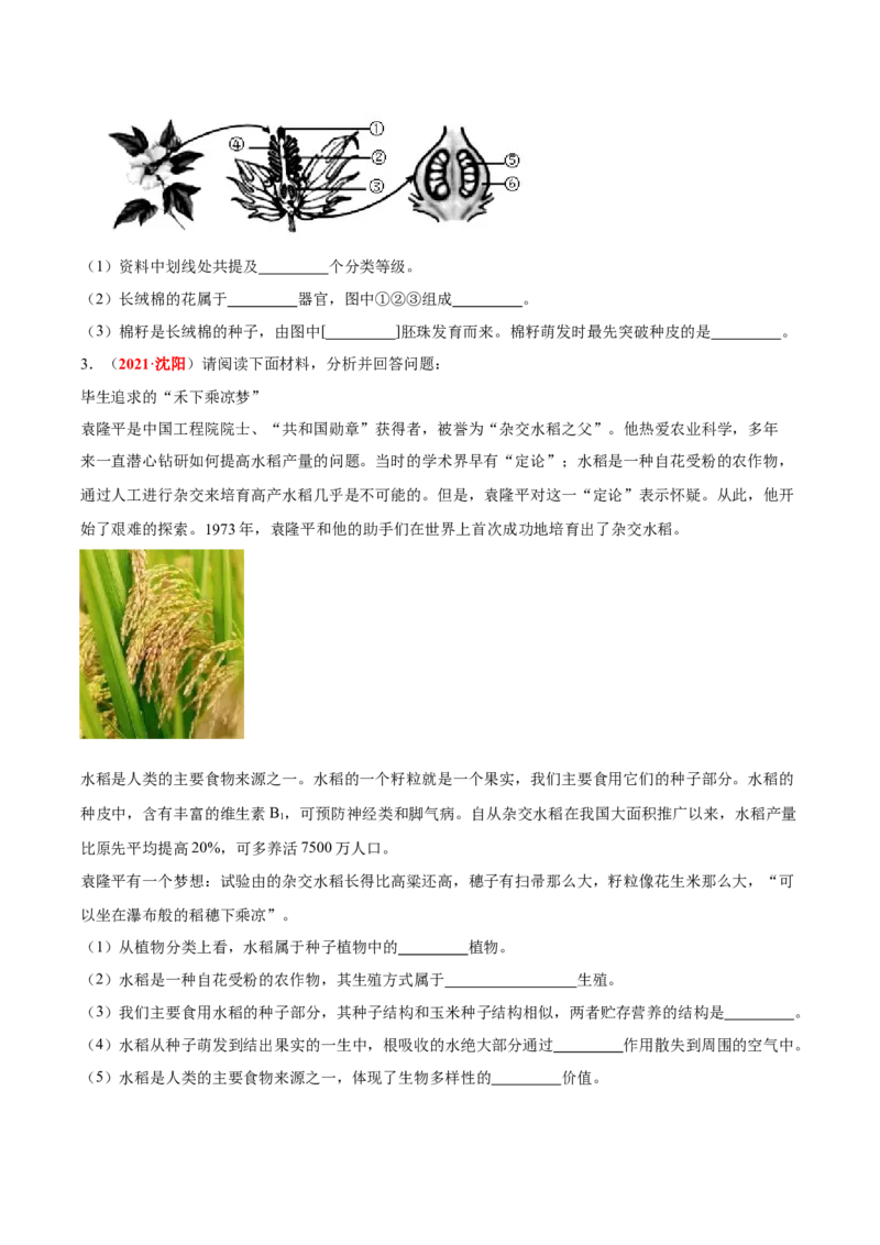 专题03&nbsp;绿色开花植物的一生（原卷版）_6生物中考复习_2024年中考复习资料_专项复习资料_完三年（2021-2023）中考生物真题分项汇编（全国通用）