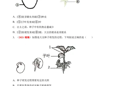 专题03&nbsp;绿色开花植物的一生（原卷版）_6生物中考复习_2024年中考复习资料_专项复习资料_完三年（2021-2023）中考生物真题分项汇编（全国通用）