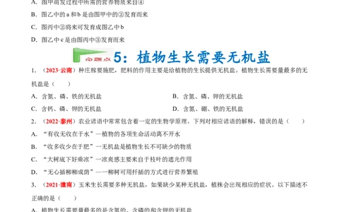 专题03&nbsp;绿色开花植物的一生（原卷版）_6生物中考复习_2024年中考复习资料_专项复习资料_完三年（2021-2023）中考生物真题分项汇编（全国通用）
