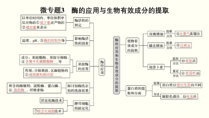 第十四单元生物技术实践（教案）_新高考复习资料_2022年新高考复习资料_2022届一轮复习讲练结合7.13更新_系列一_第十四单元生物技术实践