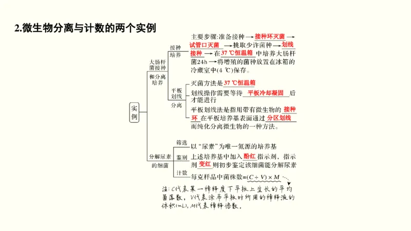 第十四单元生物技术实践（教案）_新高考复习资料_2022年新高考复习资料_2022届一轮复习讲练结合7.13更新_系列一_第十四单元生物技术实践
