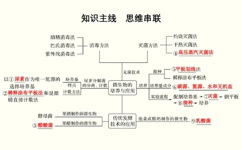 第十四单元生物技术实践（教案）_新高考复习资料_2022年新高考复习资料_2022届一轮复习讲练结合7.13更新_系列一_第十四单元生物技术实践