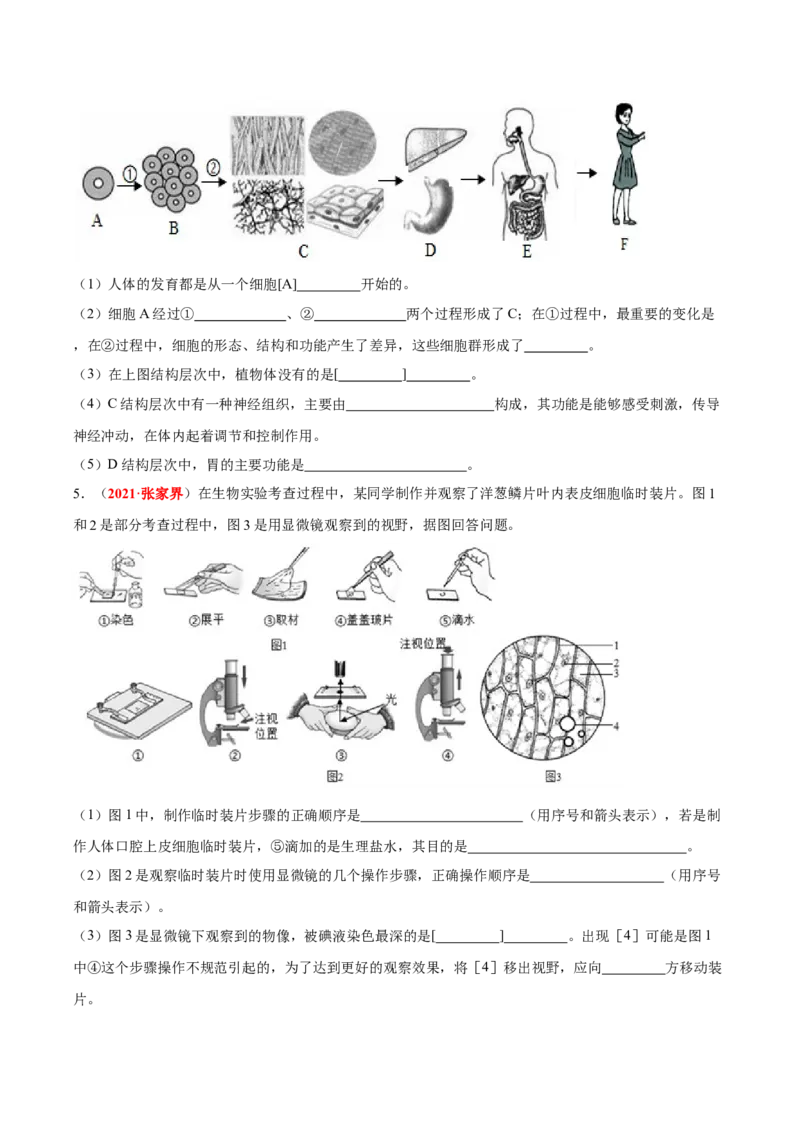 专题02&nbsp;生物体的结构层次（原卷版）_6生物中考复习_2024年中考复习资料_专项复习资料_完三年（2021-2023）中考生物真题分项汇编（全国通用）