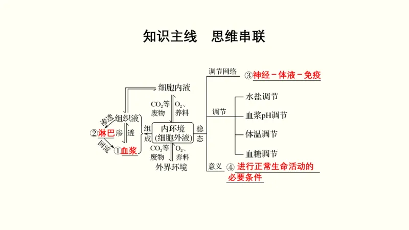 第十单元内环境及其稳态（教案）_新高考复习资料_2022年新高考复习资料_2022届一轮复习讲练结合7.13更新_系列一_第十单元内环境及其稳态