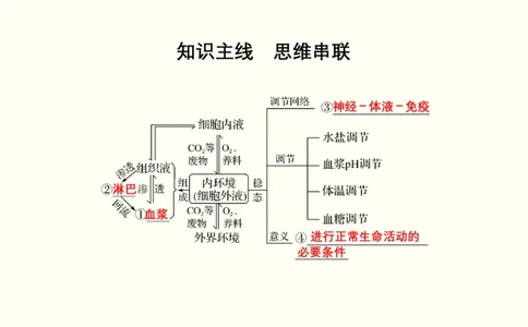 第十单元内环境及其稳态（教案）_新高考复习资料_2022年新高考复习资料_2022届一轮复习讲练结合7.13更新_系列一_第十单元内环境及其稳态