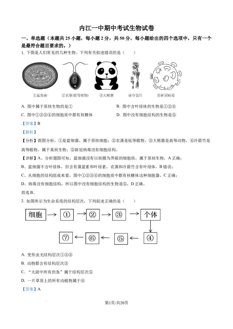 精品解析：四川省内江市第一中学2025-2026学年高一上学期期中考试生物试题（解析版）_2025年12月高一试卷_251203四川省内江市第一中学2025-2026学年高一上学期期中考试