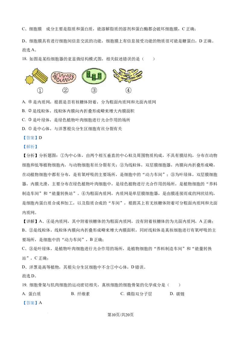 精品解析：四川省内江市第一中学2025-2026学年高一上学期期中考试生物试题（解析版）_2025年12月高一试卷_251203四川省内江市第一中学2025-2026学年高一上学期期中考试
