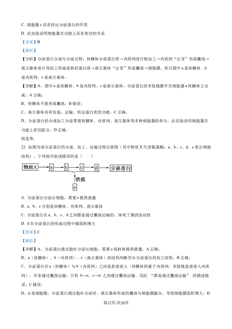 精品解析：四川省内江市第一中学2025-2026学年高一上学期期中考试生物试题（解析版）_2025年12月高一试卷_251203四川省内江市第一中学2025-2026学年高一上学期期中考试