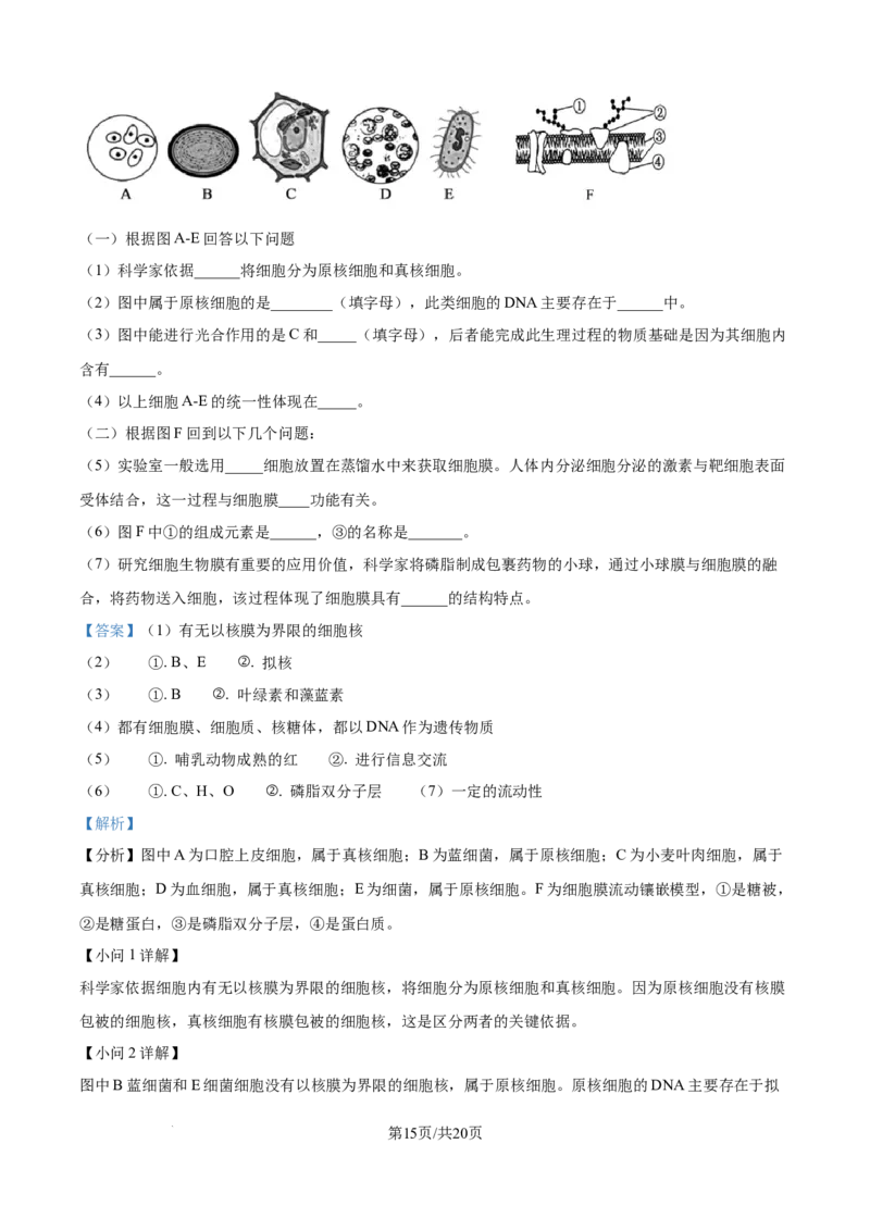 精品解析：四川省内江市第一中学2025-2026学年高一上学期期中考试生物试题（解析版）_2025年12月高一试卷_251203四川省内江市第一中学2025-2026学年高一上学期期中考试