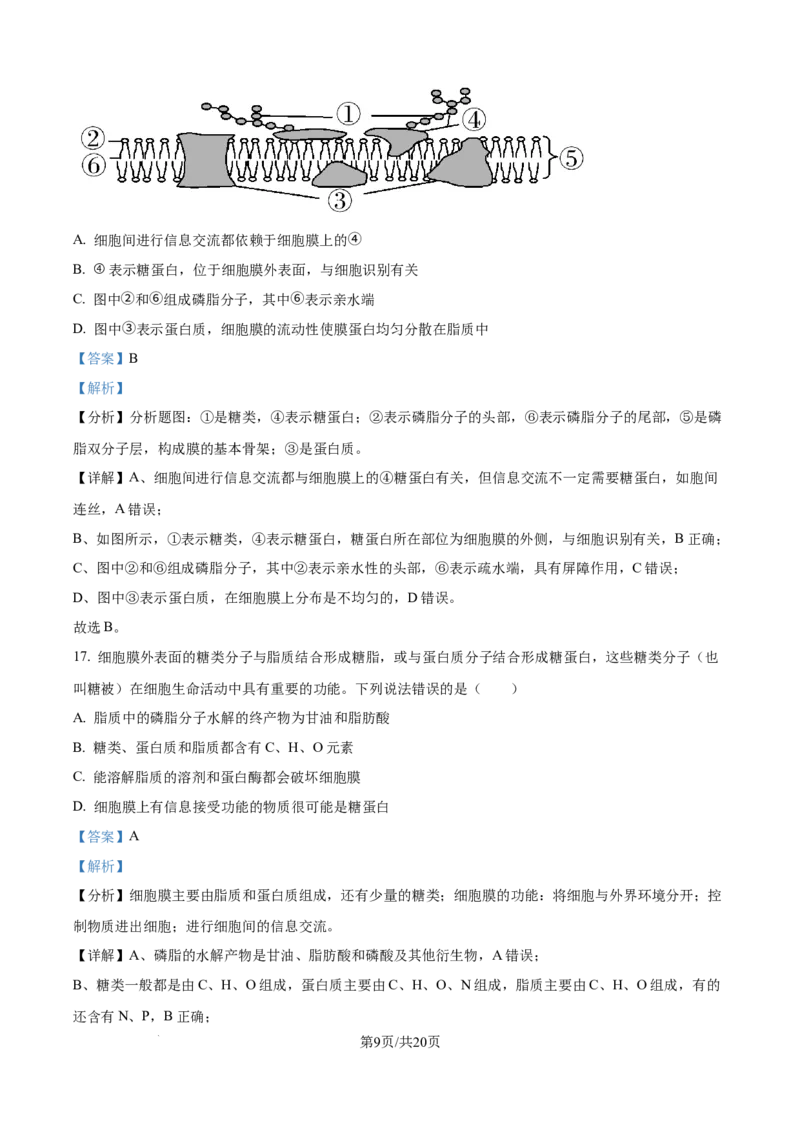 精品解析：四川省内江市第一中学2025-2026学年高一上学期期中考试生物试题（解析版）_2025年12月高一试卷_251203四川省内江市第一中学2025-2026学年高一上学期期中考试
