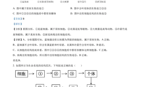 精品解析：四川省内江市第一中学2025-2026学年高一上学期期中考试生物试题（解析版）_2025年12月高一试卷_251203四川省内江市第一中学2025-2026学年高一上学期期中考试