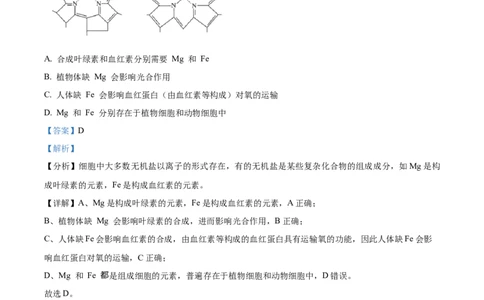 精品解析：四川省内江市第一中学2025-2026学年高一上学期期中考试生物试题（解析版）_2025年12月高一试卷_251203四川省内江市第一中学2025-2026学年高一上学期期中考试