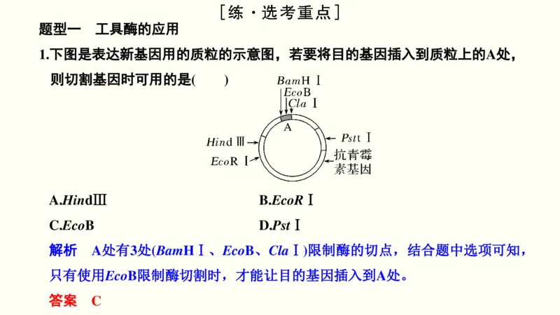 第十五单元现代生物科技专题（教案）_新高考复习资料_2022年新高考复习资料_2022届一轮复习讲练结合7.13更新_系列一_第十五单元现代生物科技专题