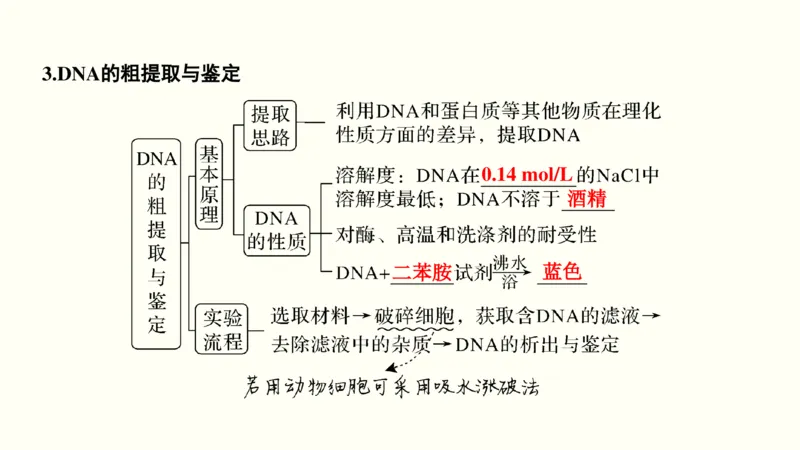 第十五单元现代生物科技专题（教案）_新高考复习资料_2022年新高考复习资料_2022届一轮复习讲练结合7.13更新_系列一_第十五单元现代生物科技专题