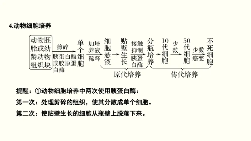 第十五单元现代生物科技专题（教案）_新高考复习资料_2022年新高考复习资料_2022届一轮复习讲练结合7.13更新_系列一_第十五单元现代生物科技专题
